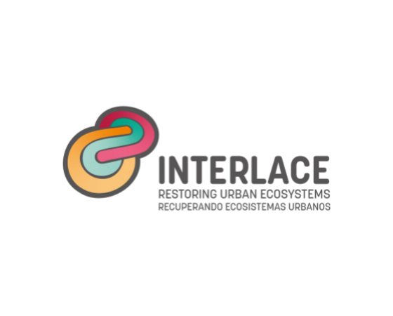 INTERLACE Logo