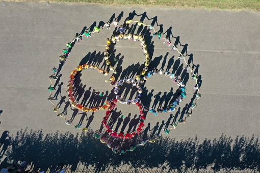 Aerial view of children forming flower on street